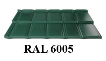 6005.jpg