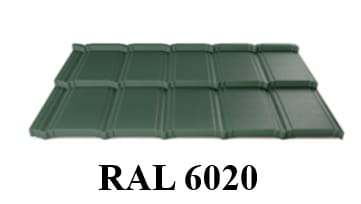 6020.jpg