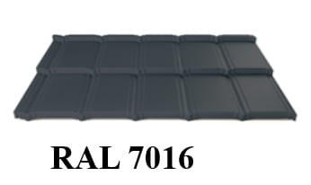 7016.jpg