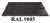 9005.jpg