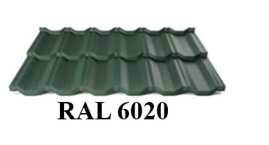 6020.jpg